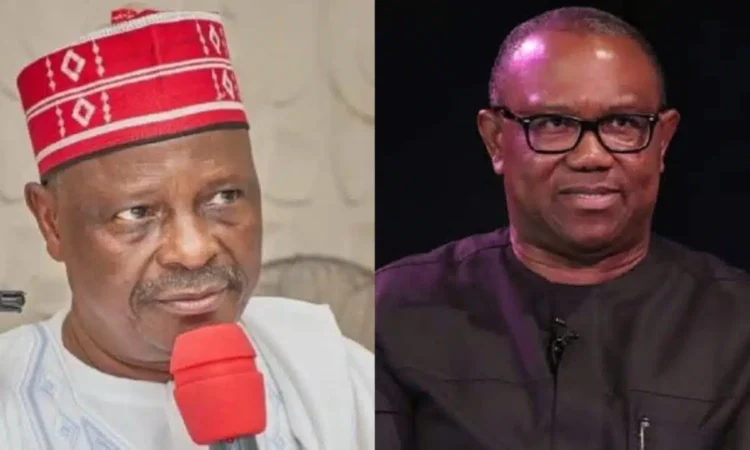 Why Peter Obi, Kwankwaso dumped ADC