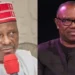 Why Peter Obi, Kwankwaso dumped ADC