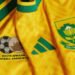 Visa issues delays South Africa World Cup trip