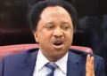 Shehu Sani wins Kaduna Central APC senatorial ticket