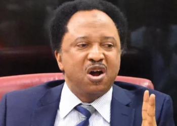 Shehu Sani wins Kaduna Central APC senatorial ticket