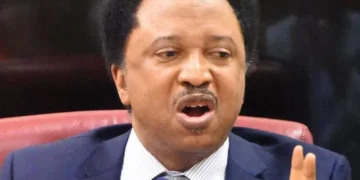 Shehu Sani wins Kaduna Central APC senatorial ticket