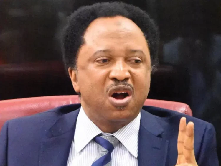 Shehu Sani wins Kaduna Central APC senatorial ticket