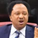 Shehu Sani wins Kaduna Central APC senatorial ticket