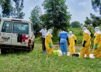 10 African countries at risk as Ebola outbreak – Report