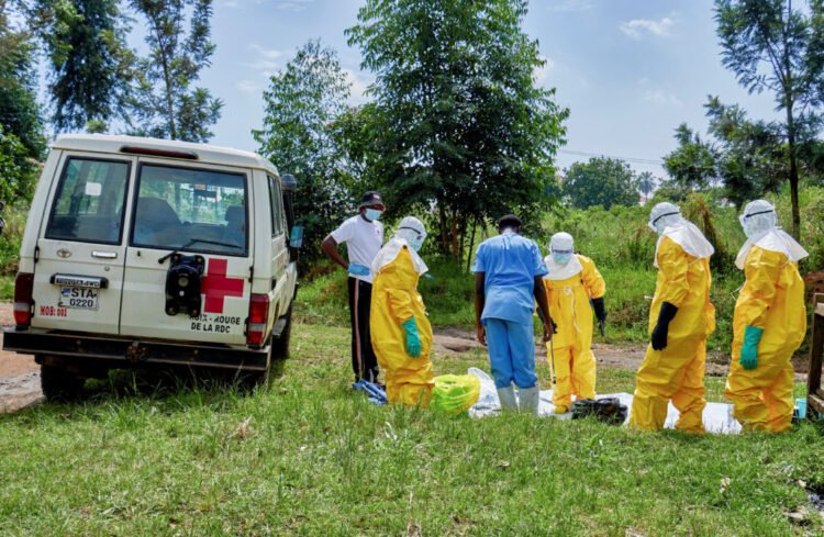 10 African countries at risk as Ebola outbreak – Report