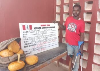 NDLEA arrests 3 PWDs for drug trafficking, uncovers N5.8bn Loud