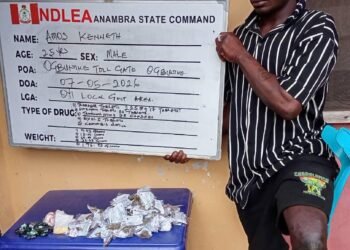 NDLEA uncovers alleged drug stash mansion in Lagos, seizes cannabis worth N5.8bn