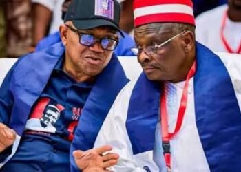 BREAKING: Peter Obi’s Name Uploaded as INEC Grants NDC Access to Portal