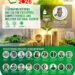 NECA to lead national conversation on impact of economic reforms at 2026 Employers’ Summit 