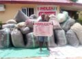 NDLEA intercepts large illicit drug consignments in 7 states