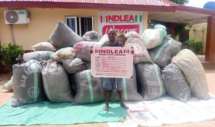 NDLEA intercepts large illicit drug consignments in 7 states