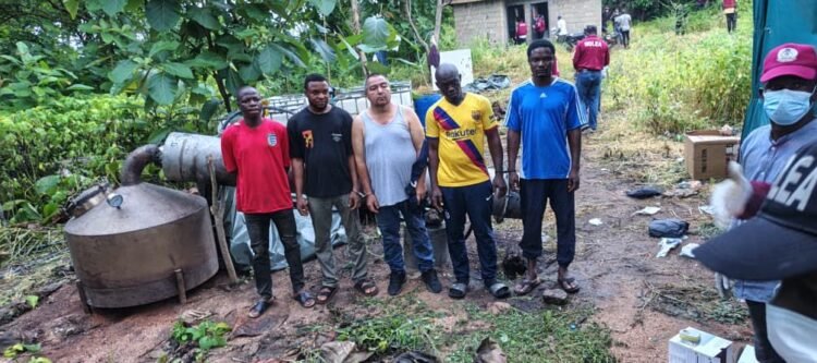 NDLEA uncovers another industrial scale clandestine meth laboratory in Oyo forest