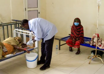 Central African Republic declares cholera outbreak after 24 deaths recorded