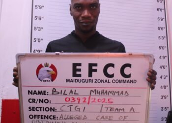 EFCC arraigns CEO for alleged N500, 000 fraud in Maiduguri