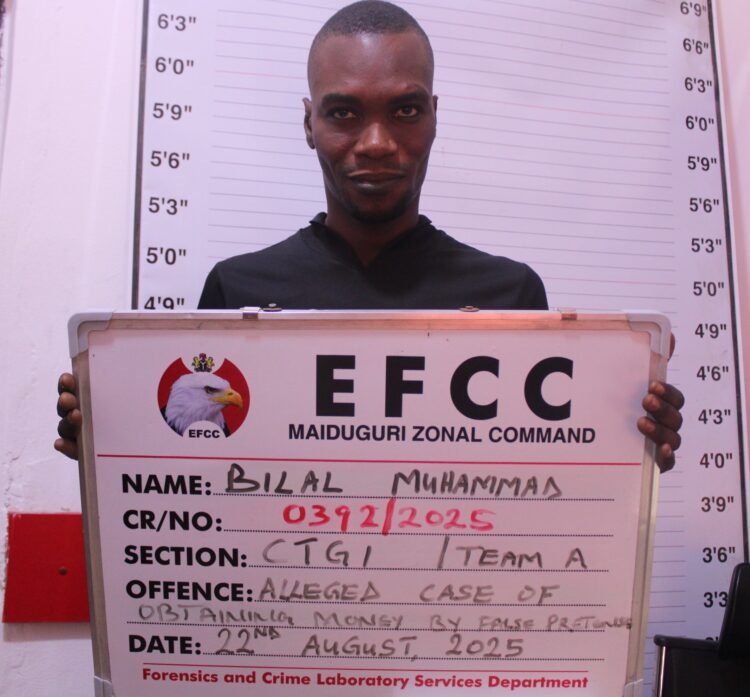 EFCC arraigns CEO for alleged N500, 000 fraud in Maiduguri