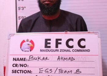 Court jails one for N2.9m crypto fraud in Maiduguri 