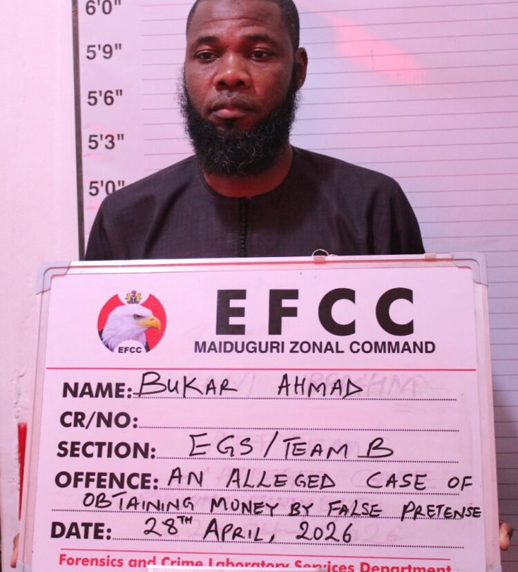 Court jails one for N2.9m crypto fraud in Maiduguri