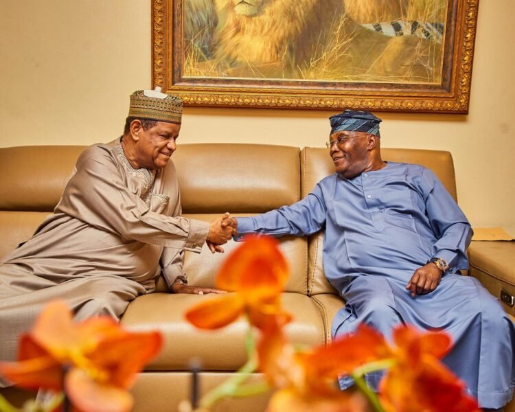 Why I visited Hayatu-Deen — Atiku
