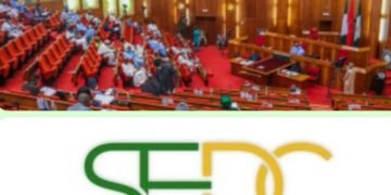 Senate committee summons SEDC over spending, project implementation