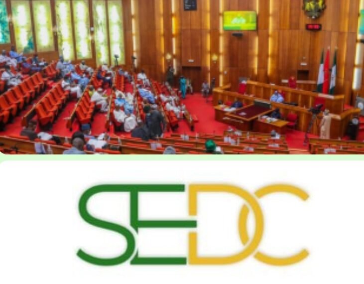 Senate committee summons SEDC over spending, project implementation
