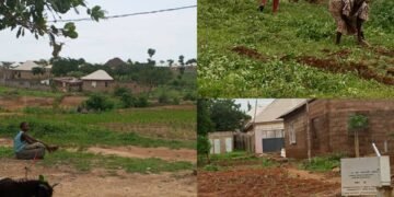 Delayed Rains Leave Abuja Farmers in Limbo, By Prosper Okoye