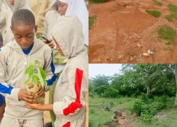 Ejigbo: Where Survival Competes With Nature, By Prosper Okoye