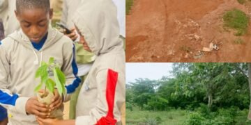 Ejigbo: Where Survival Competes With Nature, By Prosper Okoye