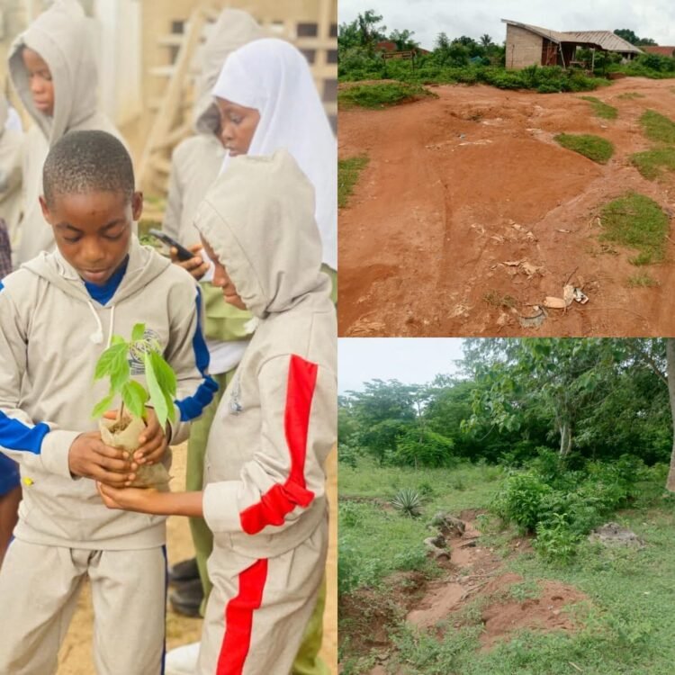Ejigbo: Where Survival Competes With Nature, By Prosper Okoye