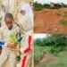 Ejigbo: Where Survival Competes With Nature, By Prosper Okoye