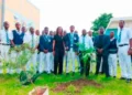 WED 2026: UBA Foundation plants trees in Lagos schools