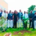WED 2026: UBA Foundation plants trees in Lagos schools
