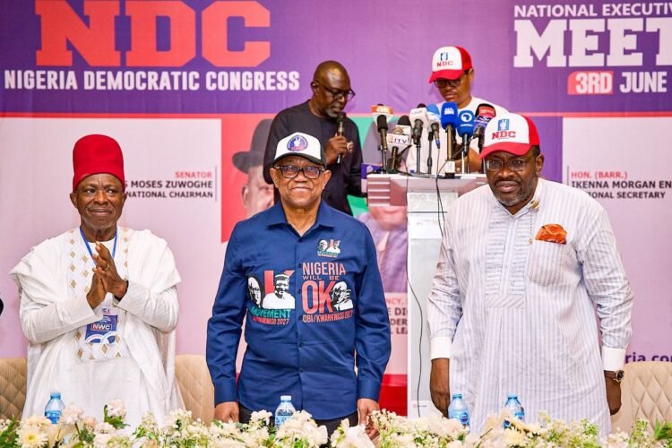 NDC tightens party control, orders financial disclosures after NEC meeting