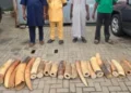 Customs, partners intercept N126.3m wildlife contraband, arrest 4