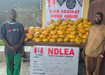 NDLEA intercepts China-bound businesswoman with large consignment of cocaine