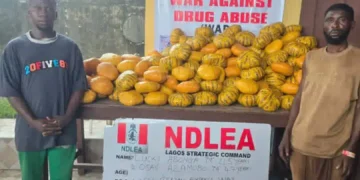 NDLEA intercepts China-bound businesswoman with large consignment of cocaine