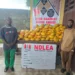 NDLEA intercepts China-bound businesswoman with large consignment of cocaine