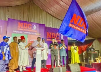 Legal storm for NDC as new suit seeks party’s deregistration