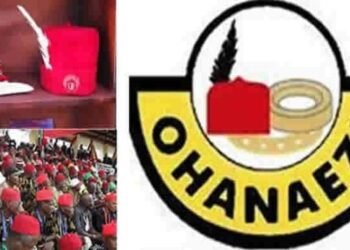 Ohanaeze bans use of unauthorised traditional titles outside Igboland