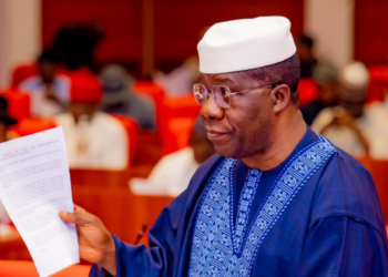Senator Bamidele moves for 6-year single term for presidents, govs