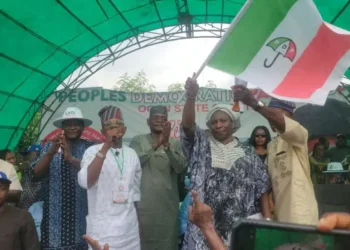 Iyabo Obasanjo gets Senate ticket after returning to PDP