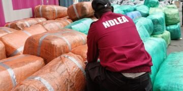 NDLEA arrests 3 transnational traffickers with 558,000 pills of tramadol