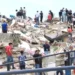 UPDATE: Death toll rises to 235 in Venezuela earthquakes, 4,300 injured
