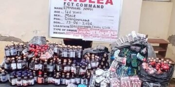 NDLEA intercepts large illicit drug consignments in 7 states
