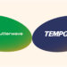 Flutterwave partners Tempo to expand stablecoin-powered payments across Africa