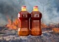 Malaysia seeks local partnership to fill Nigeria’s palm oil supply gap