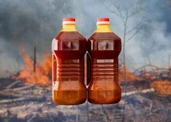 Malaysia seeks local partnership to fill Nigeria’s palm oil supply gap