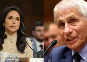 US Intelligence Director, Gabbard alleges Fauci backed Wuhan virus research
