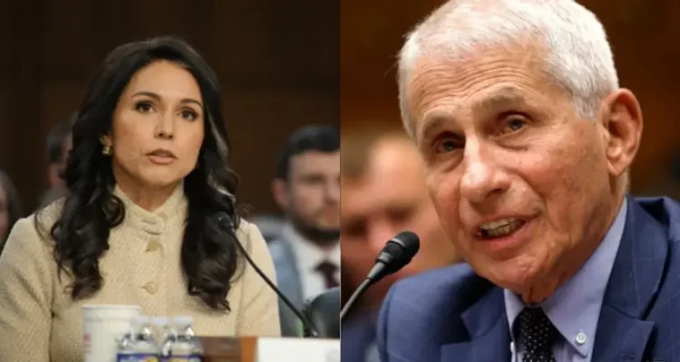 US Intelligence Director, Gabbard alleges Fauci backed Wuhan virus research