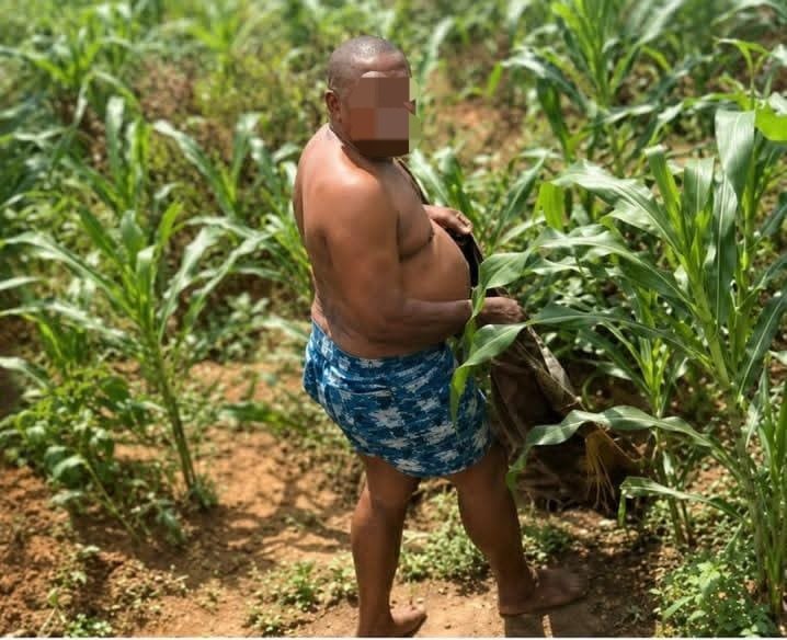 Sex Scandal: Paul University suspends lecturer who jumped window to escape student mob